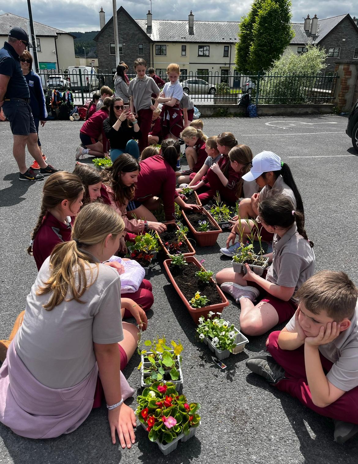 Enrolment at Portlaw National School